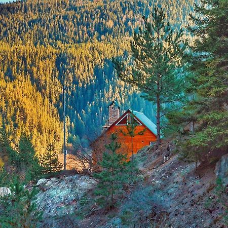 Cozy Cottage Feel Free Continental Didi Ateni エクステリア 写真