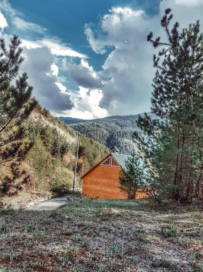 Cozy Cottage Feel Free Continental Didi Ateni エクステリア 写真