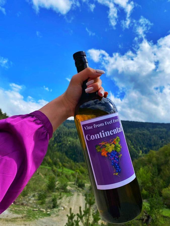 Cozy Cottage Feel Free Continental Didi Ateni エクステリア 写真