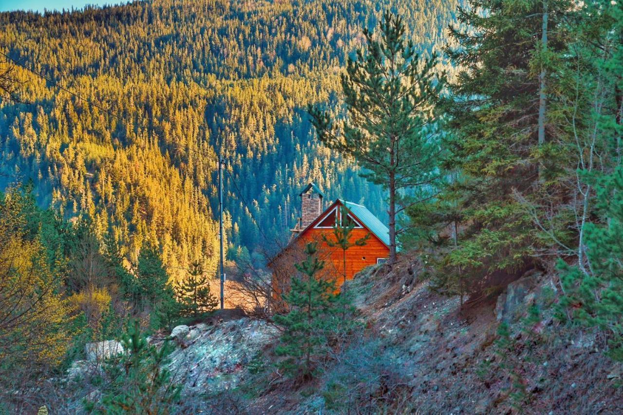 Cozy Cottage Feel Free Continental Didi Ateni エクステリア 写真
