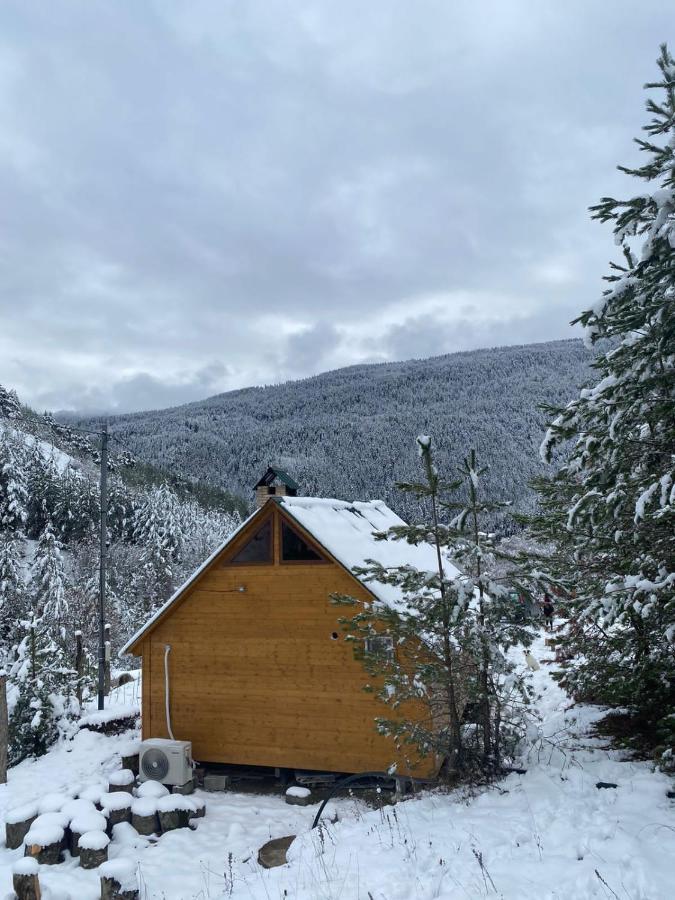 Cozy Cottage Feel Free Continental Didi Ateni エクステリア 写真