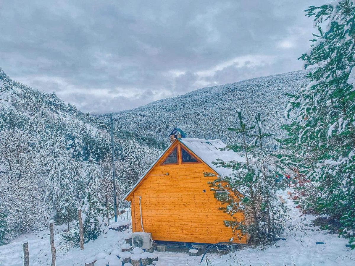 Cozy Cottage Feel Free Continental Didi Ateni エクステリア 写真