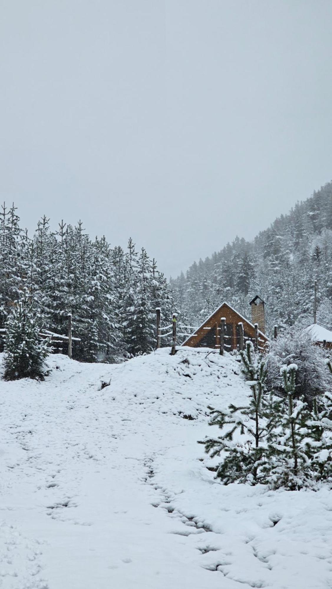 Cozy Cottage Feel Free Continental Didi Ateni エクステリア 写真